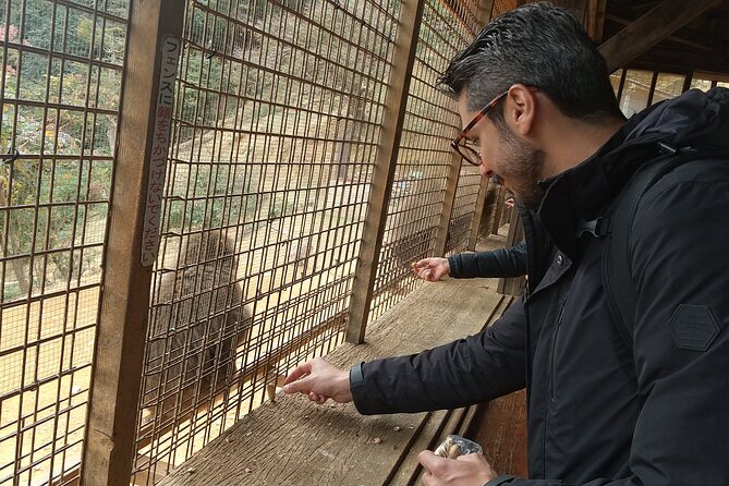 Private Tour to Arashiyama Monkey Park and Arashiyama Highlights - Important Considerations for the Tour