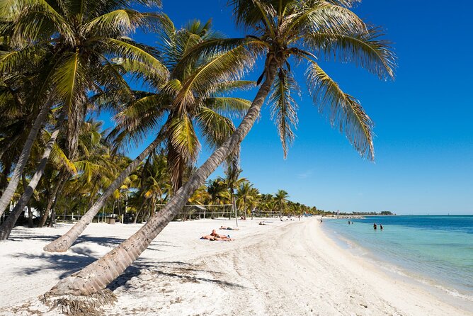 Private Transfer Miami Airport FLL to Miami Hotels or Beach - The Sum Up