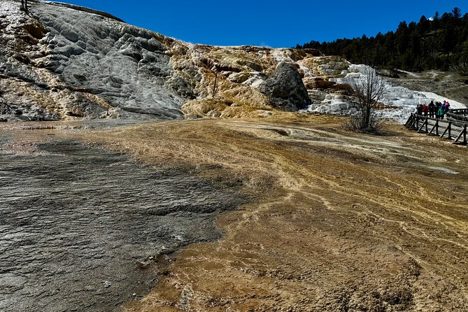 Private Yellowstone Wildlife and Photo Tour's Upper Loop Cody Wy - Tour Customization and Personalized Service