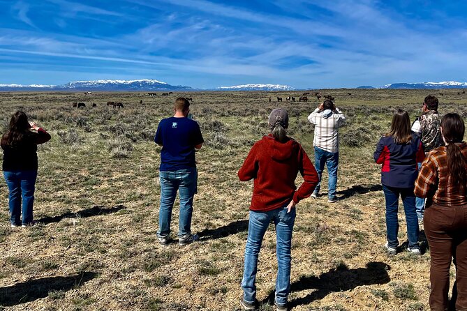 Red Canyon Small Group Wild Mustang Van Tours in Cody Wyoming - Booking and Cancellation Policies