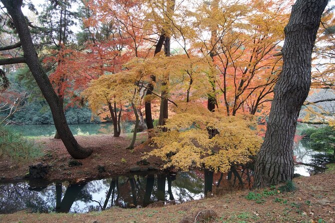 Red, Yellow and Brown - Visit Autumn Leaves Spots in Tokyo - Experience the Diverse Autumn Scenery in Tokyo