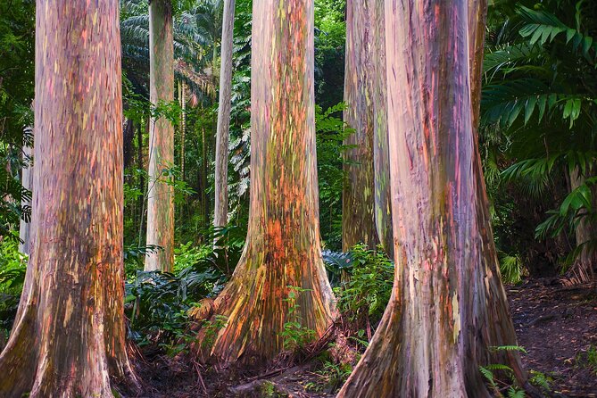 Road to Hana Full Day Tour With a Guide - The Sum Up