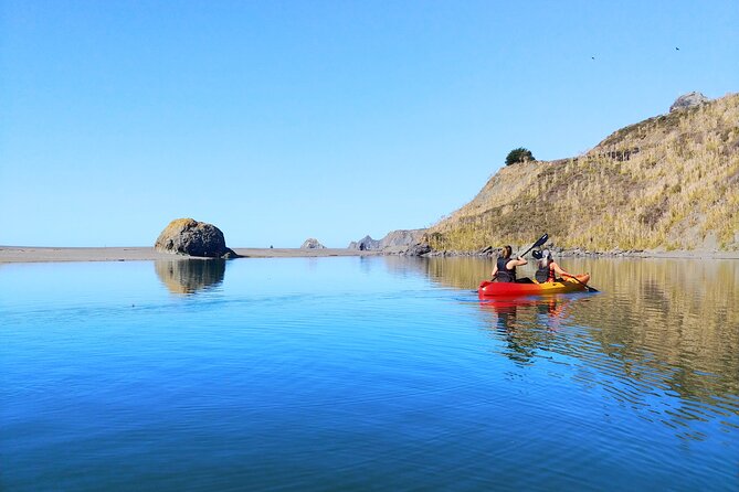 Russian River Kayak Tour at the Beautiful Sonoma Coast - Wildlife Encounters on the Water