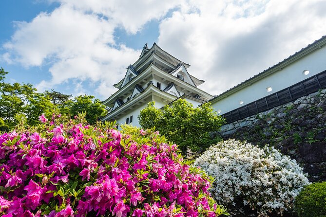 Sakura 1 Day Tour With Charter Train and Boat From Nagoya - Experiencing Local Culture