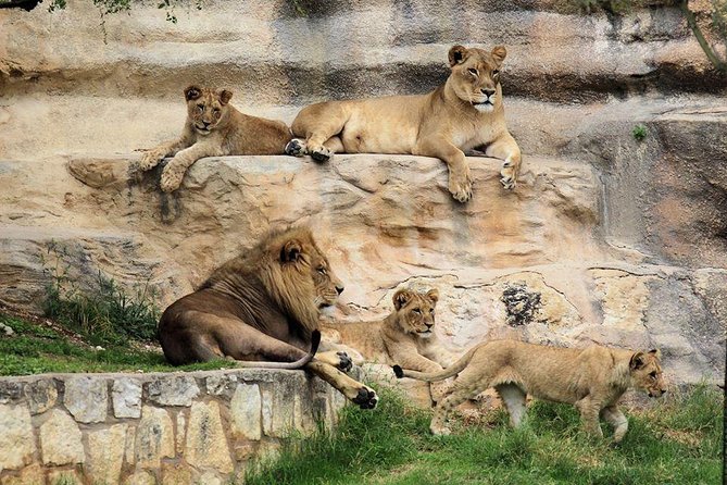 San Antonio Explorer Pass: Save up to 50% - Includes Six Flags - Exploring San Antonio With the Explorer Pass