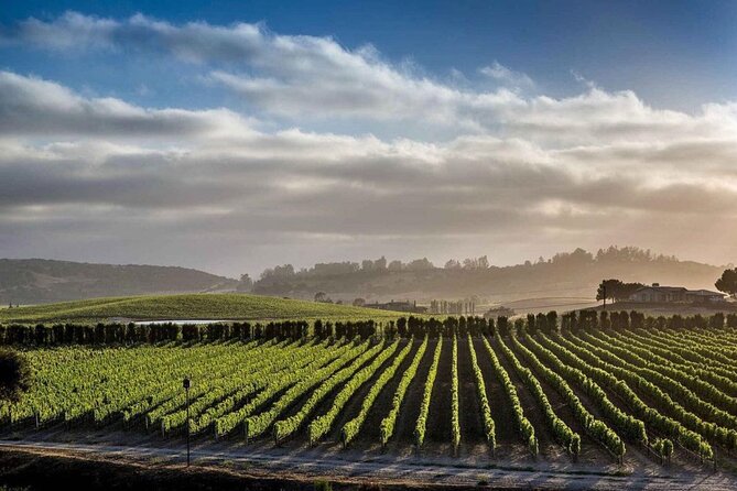 Santa Barbara Wine Country Vineyard & Village Tour - Tailoring the Experience to Your Preferences