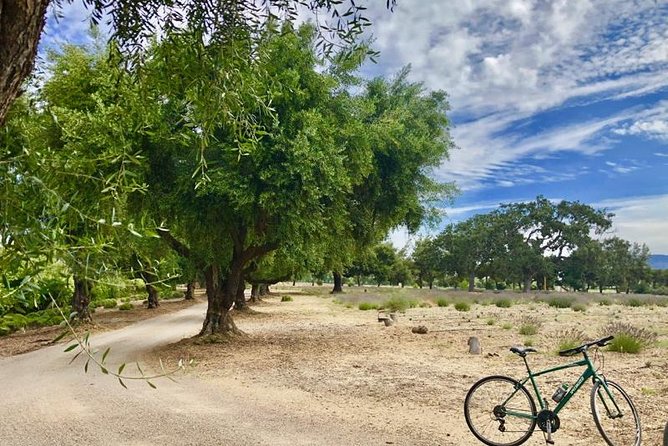 Santa Ynez Valley Biking and Wine Tasting Tour - Indulging in Gourmet Delights