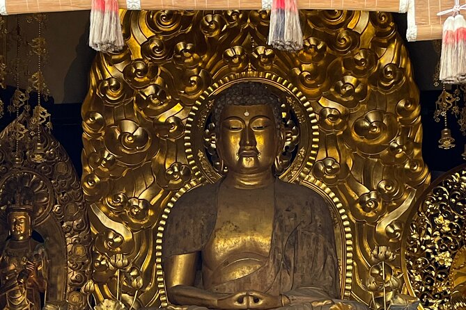 SEE MORE! KAMAKURA DEEP TOUR - by Car W/Local Guide (Group Price) - Customizable Experience With Local Guide
