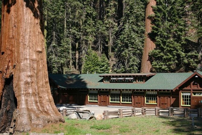 Self-Guided Audio Driving Tour in Sequoia and Kings Canyon - Highlights of Sequoia and Kings Canyon National Park