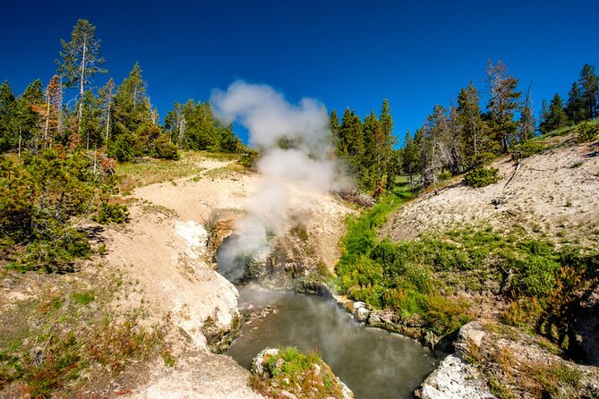Self-Guided Audio Driving Tour in Yellowstone National Park - The Sum Up