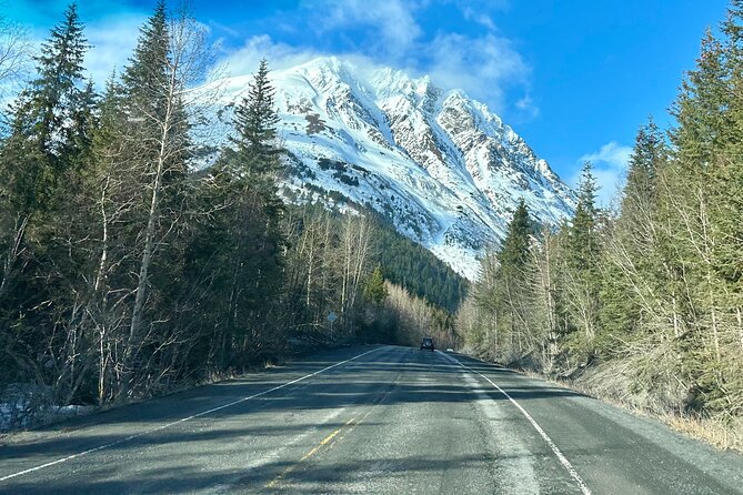 Seward to Anchorage Full Day Transit Tour With Port Pickup - Pricing and Cancellation Policy