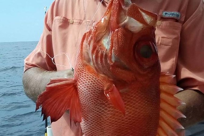 Shared Deep Sea Fishing Trip - What to Expect During the Trip