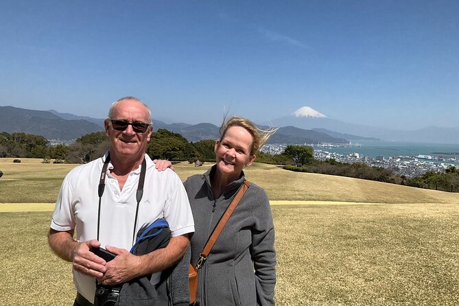 Shizuoka 6hr Private Tour and Japanese Tea Farm Tour With Vehicle - Customizing Your Ideal Tour Experience