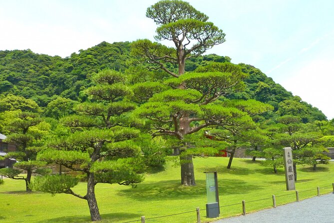 Shore Excursion Tour From Kagoshima Port - What to Expect on the Tour