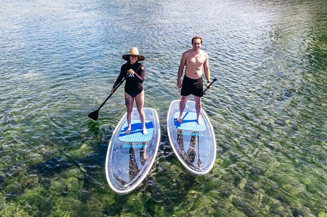 Silver Springs: Clear Kayak Wildlife Adventure - Positive Guest Feedback