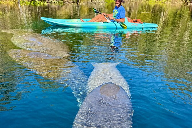 Silver Springs Premium Florida Manatee & Wildlife Experience - Booking and Confirmation Process