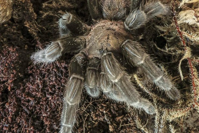 Skip the Line: General Admission to River Bend Nature Center Ticket - Planning Your Visit