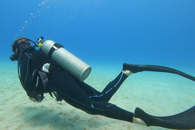 Small Group Discover Scuba Diving From Electric Beach With Photos - Preparing for Your Scuba Diving Experience