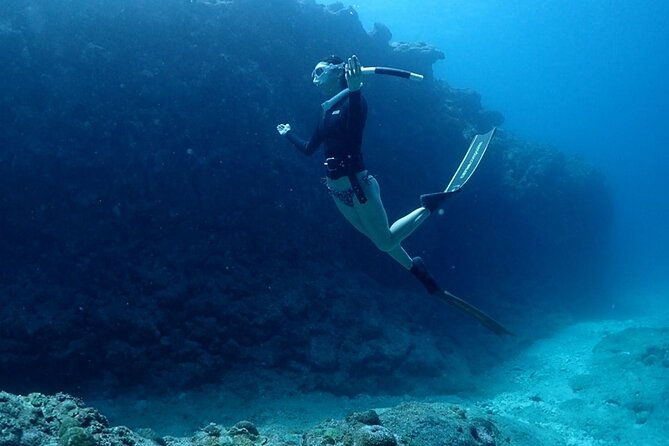 Small Group Diving Activity in Miyakojima - Pricing and Booking Information