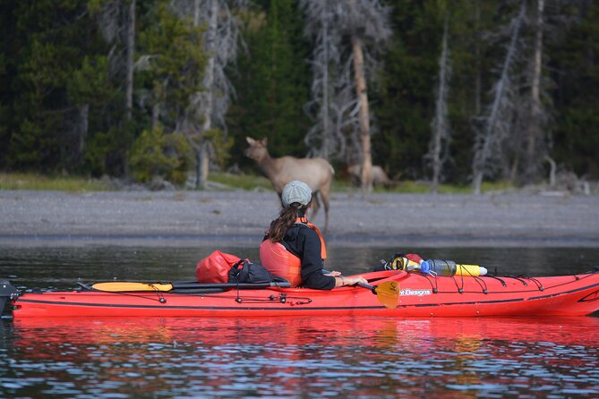 Small-Group Sunset Kayaking Tour on Lake Yellowstone - Paddling During Sunset