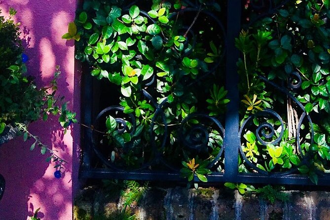Small-Group Tour: Charleston Old Walled City Historical Walking Tour - Traveler Experiences and Recommendations