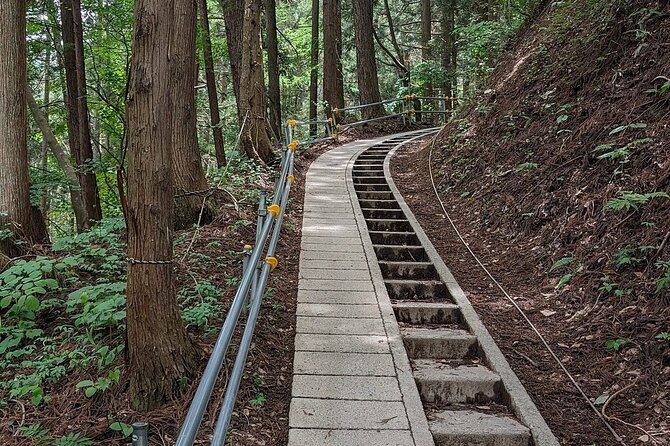 Snow Monkey Nagano One Day Private Tour With English Guide. - Discovering the Charming Town of Nagano