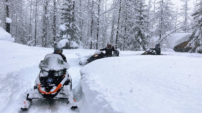 Snowmobile Classic Tour in Kenai Fjords National Park - Tips for an Unforgettable Adventure