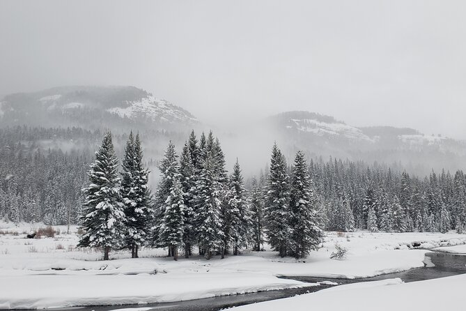 Snowshoe or XC Ski in North Yellowstone (Half Day) - Booking and Cancellation Policy