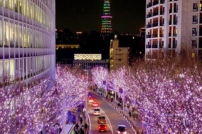 Sports and Classic Car Tour in Tokyo - Insider Tips