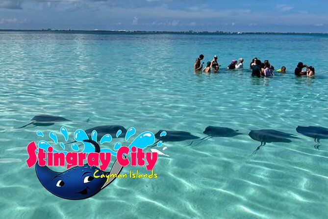 Starfish and Stingray City Fun Tour With Reef Snorkeling- 3 Stops - Traveler Reviews and Experiences