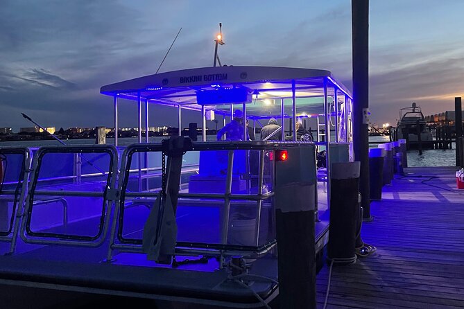 Sunset Dolphin Excursion - Family-Friendly Fun and Accommodations