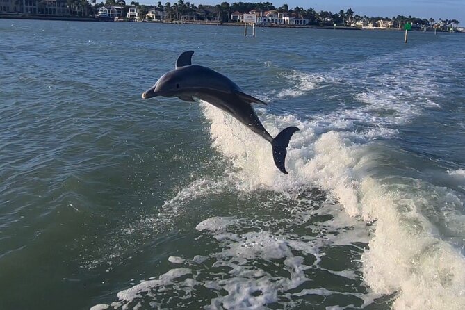 Sunset Tour in Naples Bay on a New Godfrey- All Included - Tips for a Memorable Experience
