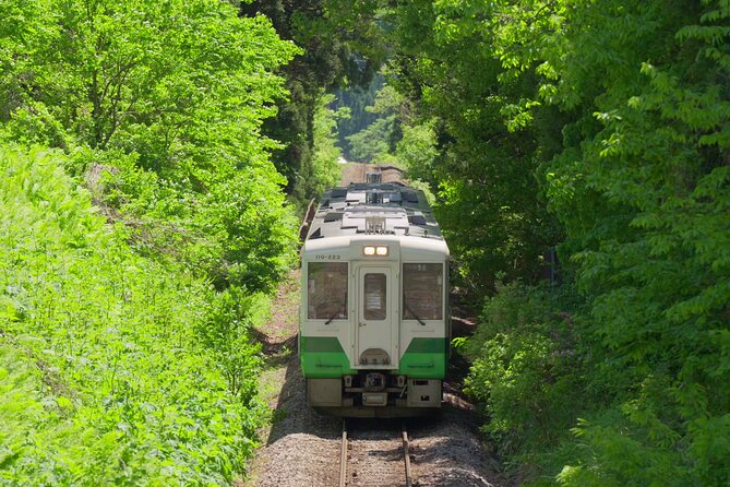 Tadami Line Tour and Private Boat Night Tour of Mugenkyo Ravine - Accessibility and Participation