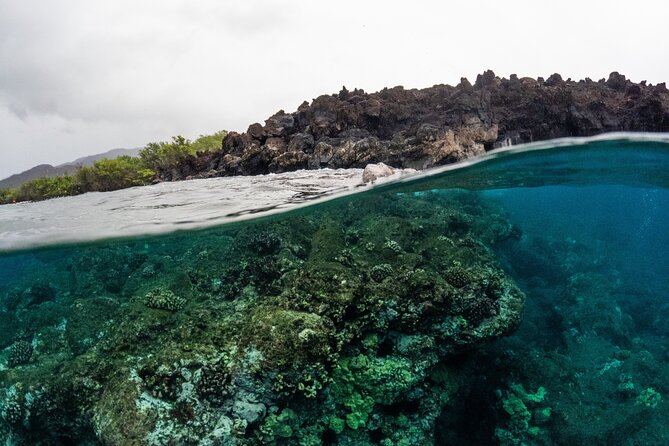 The Best 2.5 Hour Molokini Snorkel Tour & Whale Watch - Why This Tour Stands Out