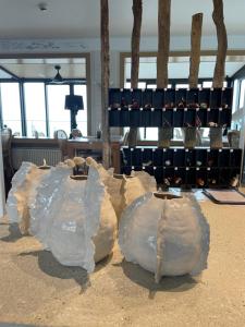 The Relay of the Islands - The Sum Up