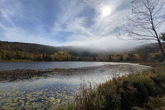 The Way Life Should Be: 4-hr, Private Guided Tour of Acadia NP. - What Travelers Are Saying