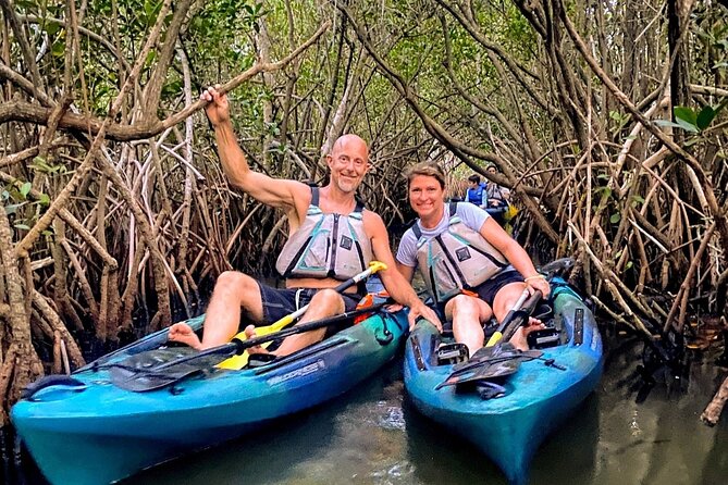Thousand Islands Mangrove Tunnel & Bio Comb Jelly Sunset Tour - Wildlife Sightings