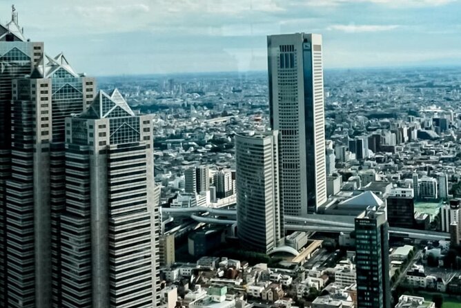 Tokyo City Tour in Shinjuku With Licensed Guide - Transportation and Logistics