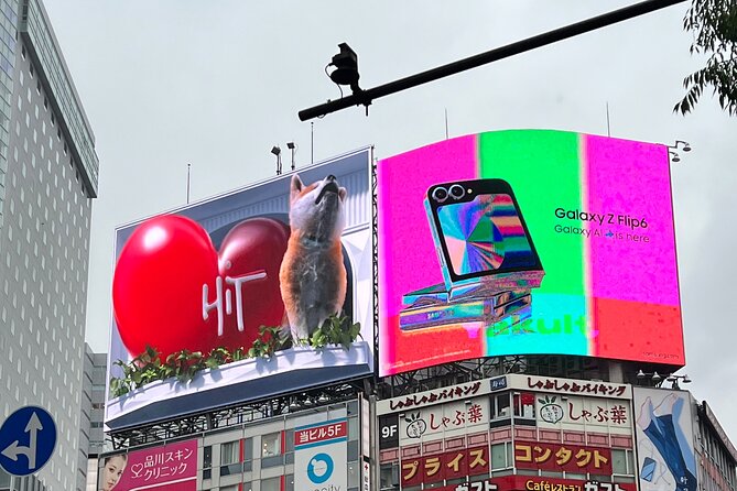 Tokyo City Walk Private Sightseeing Day Tour - Discovering Shibuya Scramble Crossing