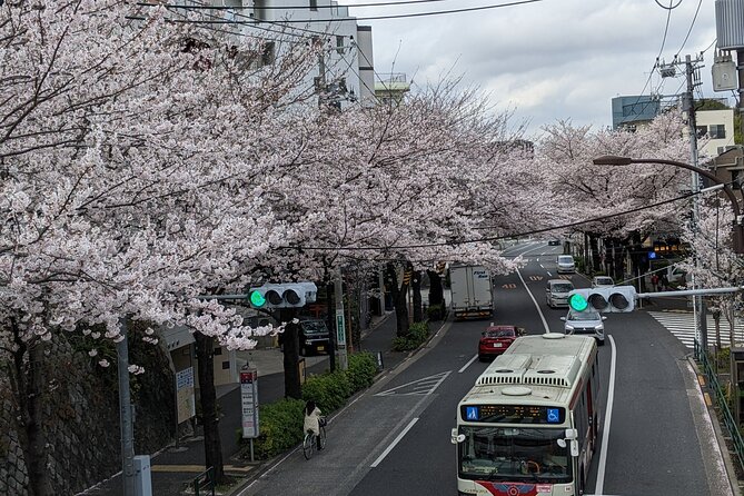 Tokyo Experience Food & Cycling Local Life Tour - Booking and Cancellation Policy