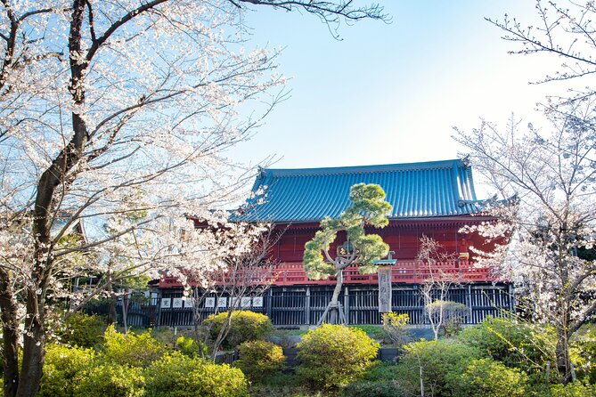 Tokyo National Museum and Ueno Ukiyo-e History Guided Tour - Booking and Cancellation Policy
