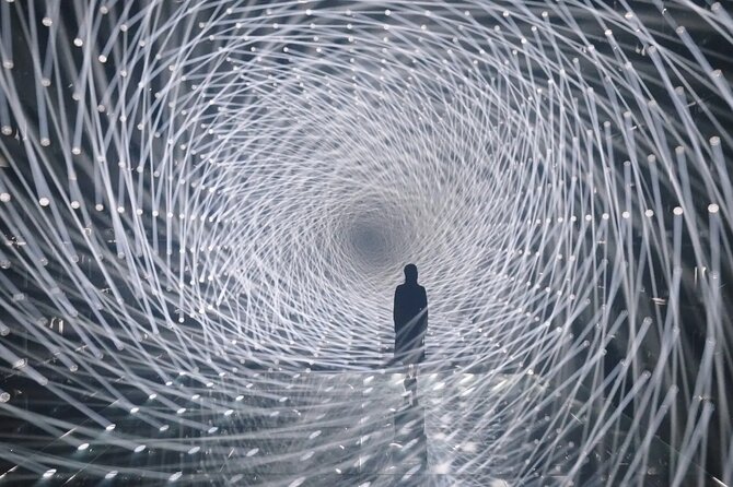 Tokyo: Teamlab Borderless Museum Admission Ticket - Immersive Art Experiences