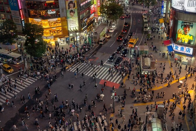 Tokyo Tour With English Pro Guide & Driver - Inclusions and Exclusions