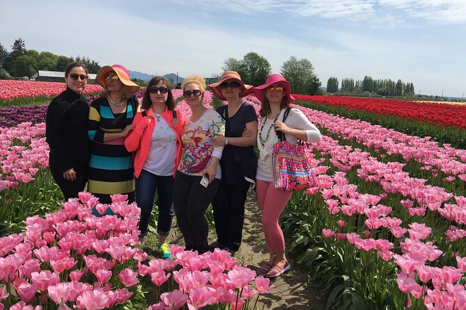 Tulip Festival in Skagit Valley Tour From Seattle - Areas for Improvement