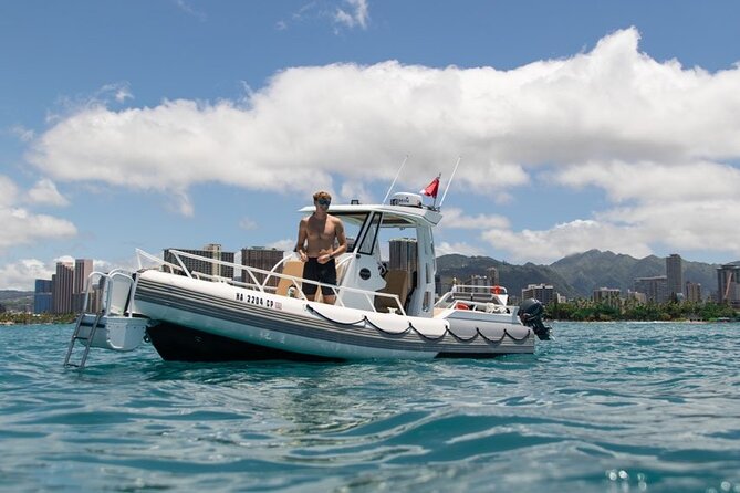 Turtle Canyon Snorkel From Waikiki (Turtles GUARANTEED!) - Underwater Photography Opportunities