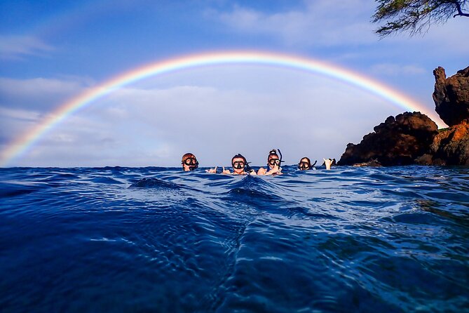 Turtle Town Clear Kayak & Snorkel Tour (11am-1pm) - Preparing for the Experience