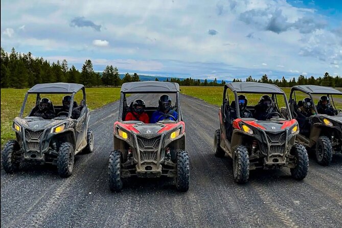 UTV Tour of Sawtell Peak - Traveler Reviews and Ratings