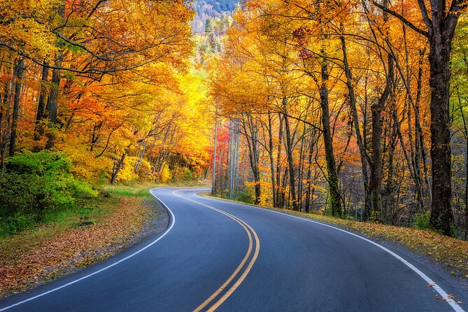 Vermont RT 100 Self Guided Driving Audio Tour - Support and Assistance During the Tour
