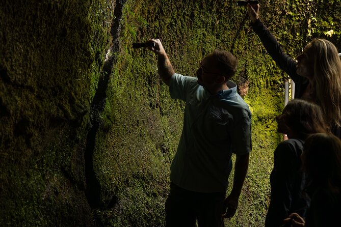 Volcano Explorer Tour - Traveler Reviews