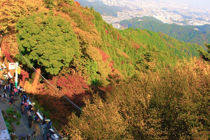 Walking Tour Mount Takao : Nature and Tradition in Tokyo - Tour Booking and Cancellation Policy